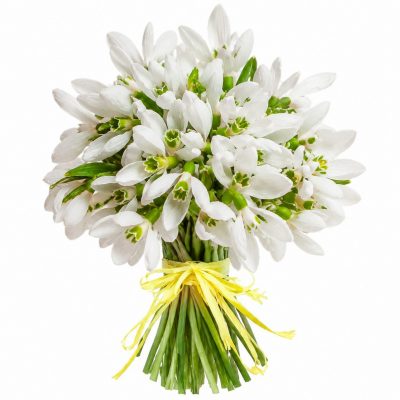 Букеты с подснежниками